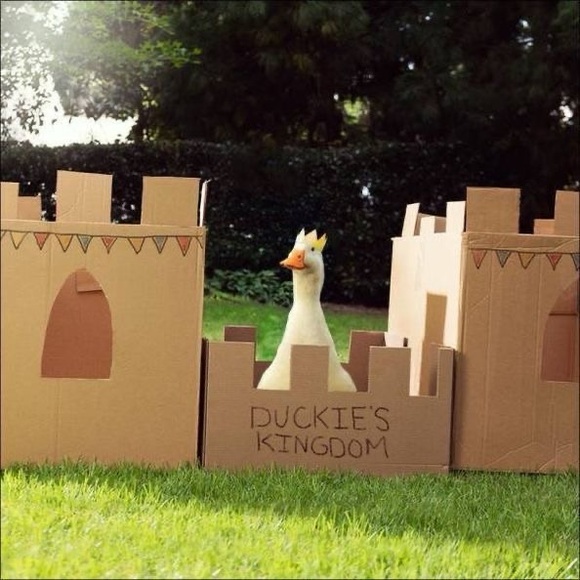 doodleduck77